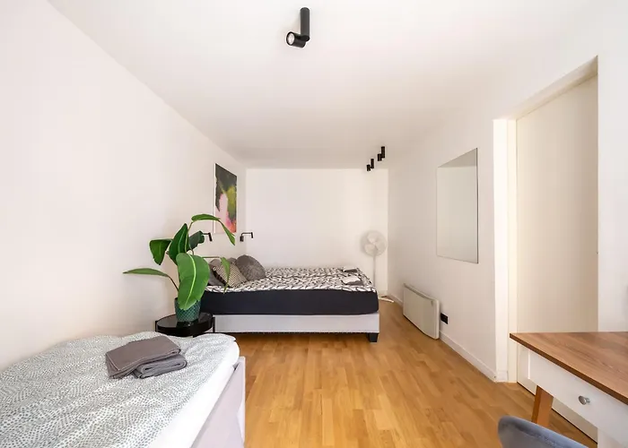 Skunu 10 Old Town * Riga